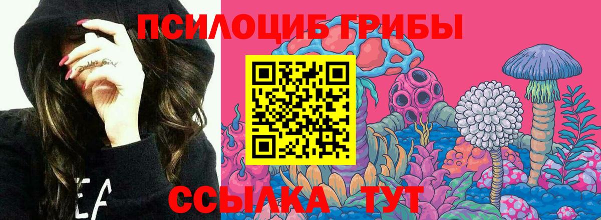 Псилоцибиновые грибы прущие грибы Реж